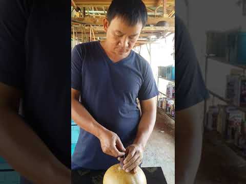 สล่าตุ้ย ประกอบพิณน้ำเต้า