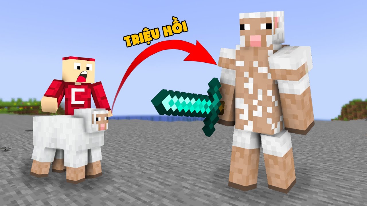 Minecraft Nhưng Đố Ai Có Siêu Cừu Là Đàn Em - YouTube
