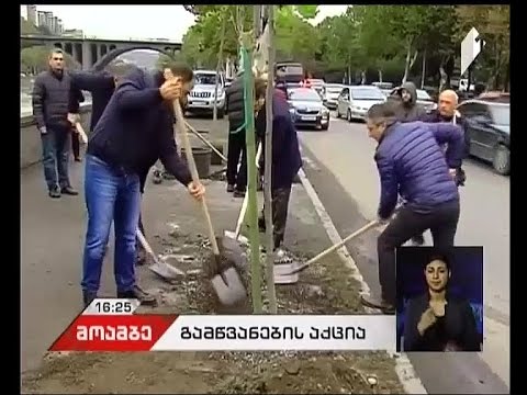 თბილისში გამწვანების ღონისძიებები გრძელდება