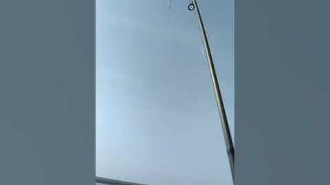 Prologic specialista twin tip 2lb