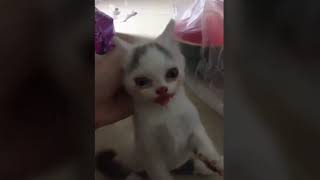 Que A Mí Me Gusta La Pepsi Hd