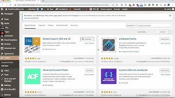 Remove NitroPack Footer Badge | How to Hide NitroPack Footer Easily