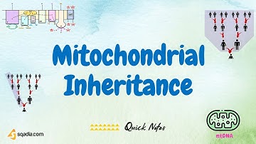 Mitochondrial Inheritance - Introduction