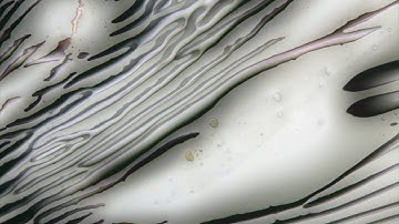 Ferrofluid  - Background 4 | Concept Zero