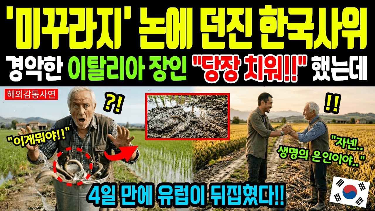 [해외감동사연] 