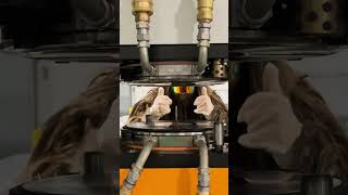 Celebrity I made a record!! This signed 180g record ships immediately and contains a hidden prize inside👾 Net Worth