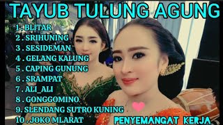 Gending Jawa Terlaristayub Tulung Agung Nydanleng Tenan  Mari Lestarikan Budaya Jawa 