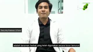 Manfaat vitabrain centella | vitabrain vitamin otak harga vitabrain | agen vitabrain adalah vitamin