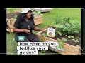 How I Fertilize My Garden Naturally 🌱