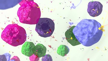 Introduction to Single Cell Proteogenomics Applications using TotalSeq™ Antibodies