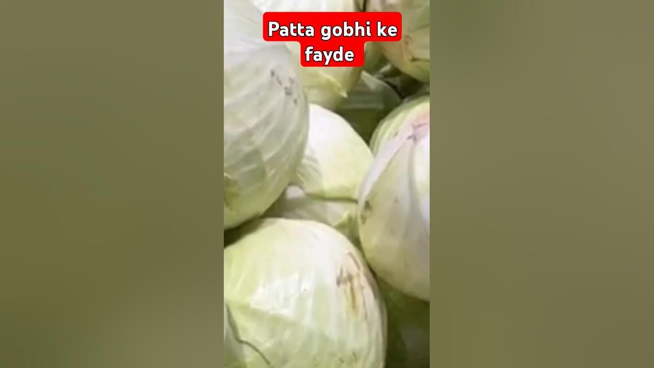 patta-gobhi-khane-ke-fayde-cabbage-benefits-shorts-short-cabbage