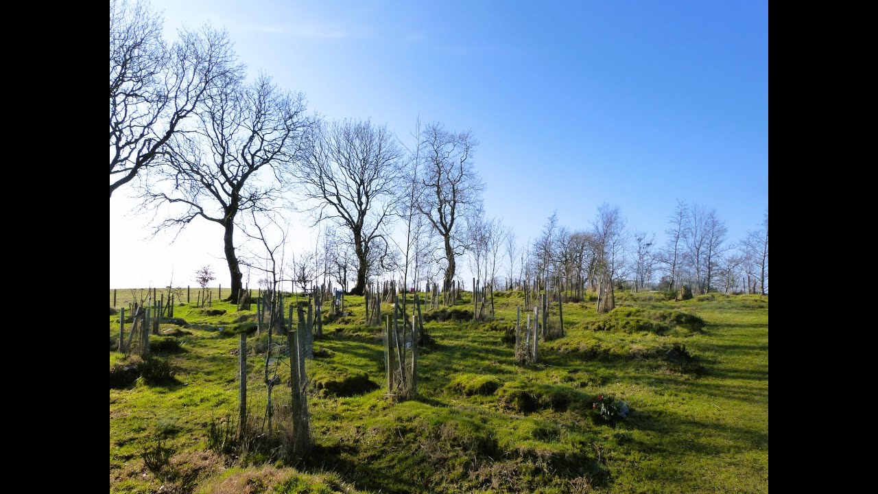 Burial Ground — Busherstown