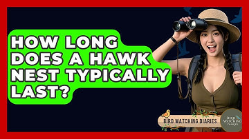 How Long Does A Hawk Nest Typically Last? - Bird Watching Diaries