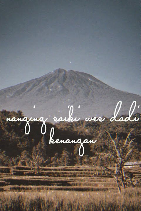 lirik lagu, story wa, mendung tanpo udan (ndarboy genk)