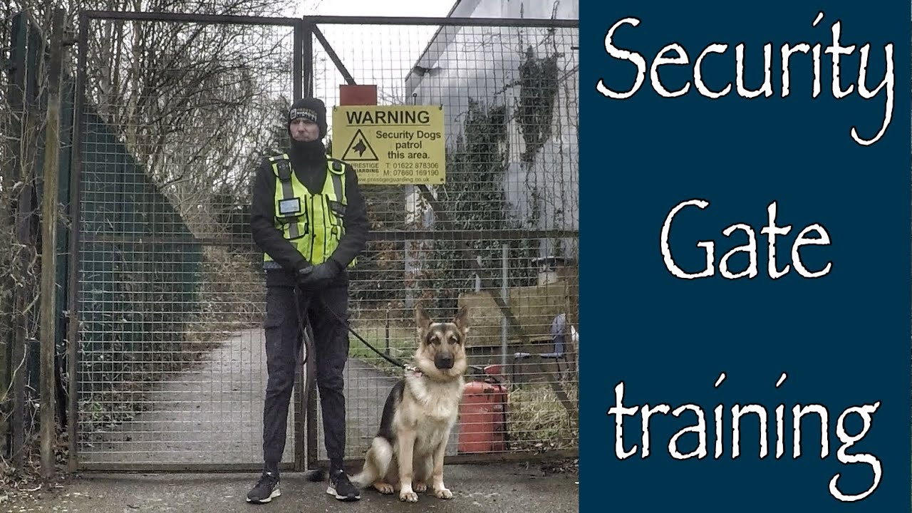 DOG HANDLING - Security Gate Training