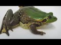 Beginning of video