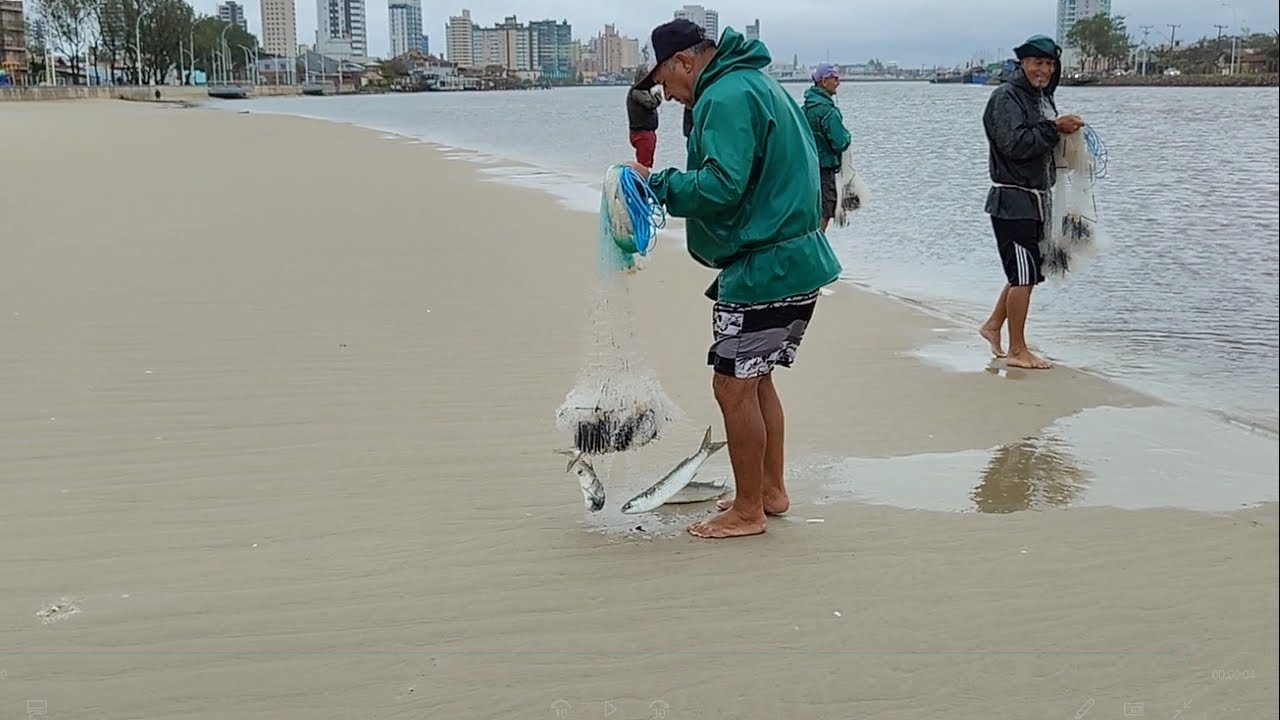 Pescarias de tarrafas, 10-12-24, Barra de Tramandaí, RS. Alguns peixes. #pescadetarrafa #fishing