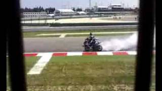 Bornaut Di Troy Baliss