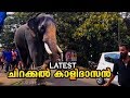 Chirakkal kalidasan mass entry 2017 bahubali fame elephant