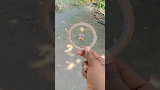 Woah 2   viralfunnyshorts