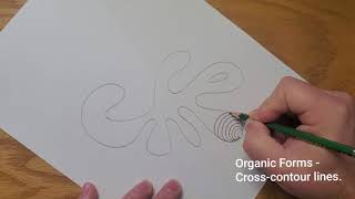 Introduction:  Organic Forms  Crosscontour lines