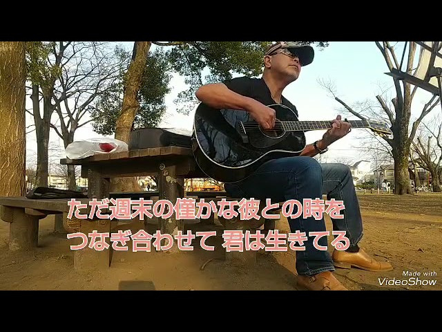 VG VG-00 All-Solid Wood Model Made by Terada Musical Instrument