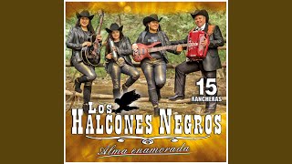 Video thumbnail of "Los Halcones Negros - Alma Enamorada"