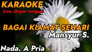BAGAI KIAMAT SEHARI ( MANSYUR S. ).  // Karaoke // live orgen tunggal // lintang aries channel