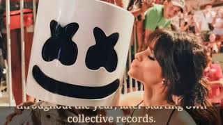 marshmello income, house, cars, luxurious lifestyle & net worth 2018