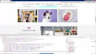 Showit 5: Targeting A Specific Element With Custom CSS