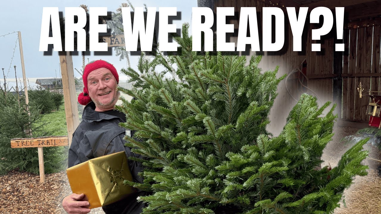 Festive FARM Chaos thumbnail