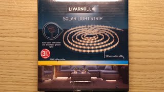 Lily Produktiv Hummingbird Inside Lidl's Livarno solar light strip. - YouTube