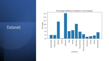 Pattern Recognition Project Report