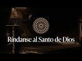 Ríndanse al Santo de Dios - Sermón del Domingo del obispo Robert Barron