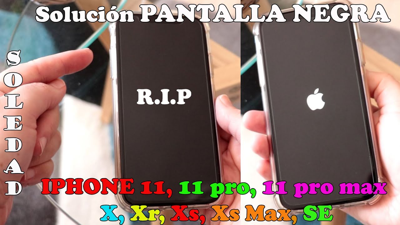 PANTALLA NEGRA IPHONE 11, 11 pro, 11 Pro Max , X, Xr, Xs, Xs Max y SE -  SOLUCIÓN SENCILLA Y RÁPIDA 