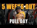Pull day  5 weeks out 212 debut