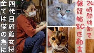 【前編】24時間体制で保護猫80匹飼育。コ○ナで経営悪化する「新玉旅館」の現状