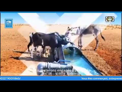 LUTTE TRADITIONNELLE