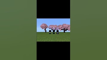 🤯🔥 Minecraft TikTok Hacks #shorts #minecraft #gaming #birdtrend #tweening #itsmeissie #guess 🔥🤯