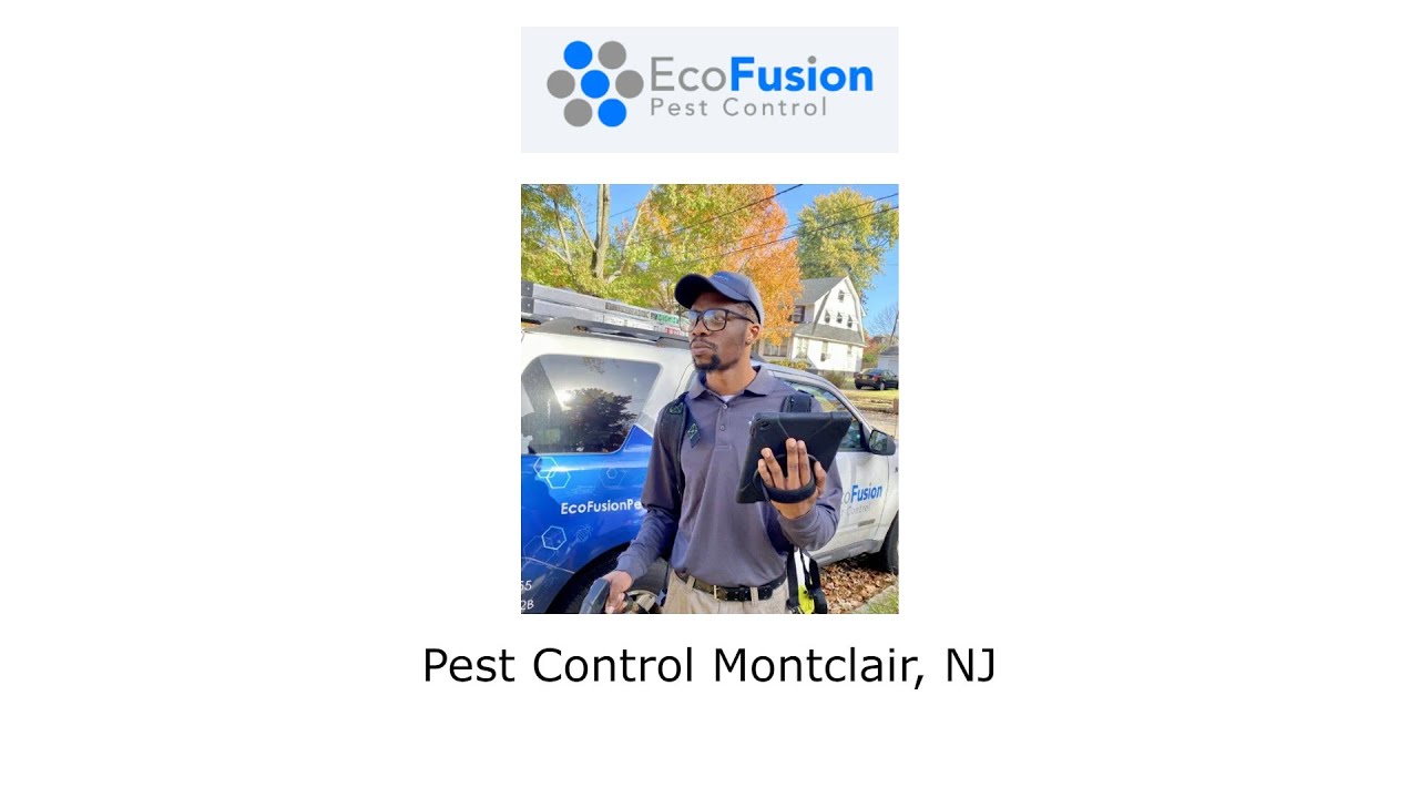 Pest Control Montclair, NJ - EcoFusion Pest Control