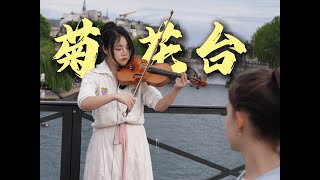Download Lagu 小提琴 - 周杰倫 Jay Chou《菊花台Chrysanthemum Terrace》| Violin playing cover | ilingmusic MP3