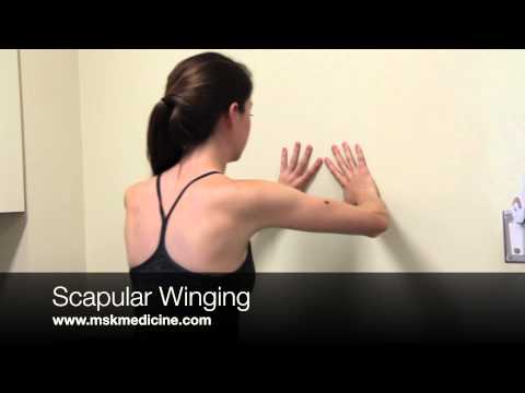 Wall Push-Up (Scapular Winging)