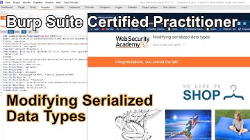 Burp Suite Certified Professional - Modifying Serialized Data Types