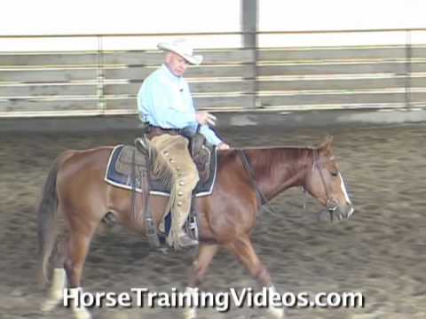 Horse Training Tune-Up For Sale Horse - Reining & ...