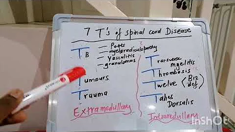 Mnemonic 14 : Spinal Cord lesions
