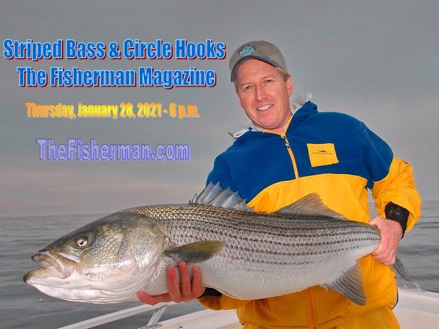 Striped Bass and Circle Hooks 