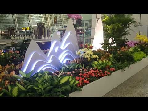 مطار باييون جوانزو الصالة 1 1   
