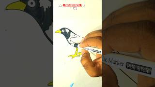Crow 🐦‍⬛ Page Coloring #ytshort #coloringbook #coloringadventure #coloring #cartoon