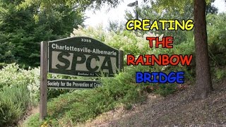Kids, Animals and the Arts: Creating The Rainbow Bridge by CharlottesvilleSPCA 838 views 9 years ago 5 minutes, 23 seconds