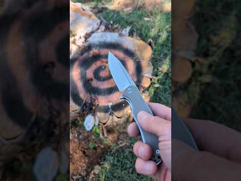 Stumptember Big Budget Folder